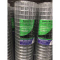 Galvanized welded wire mesh / By customizabled / 6.4*6.4